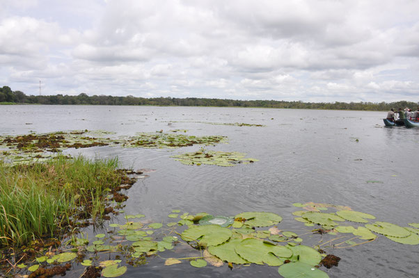 Sri Lanka, Hirwadunna, Katamaranfahrt auf dem Peripherie See
