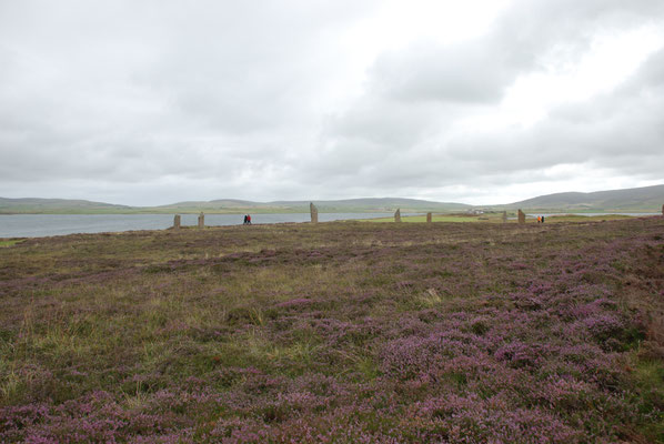 Schottland, Orkney Insel, Ring of Brodgar