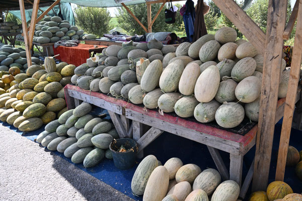 Usbekistan:  Auf dem Weg von Taschkent nach Sarmakant, Melonenverkauf am Straßenrand