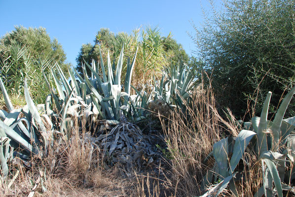 Marokko, Römisches Volubilis