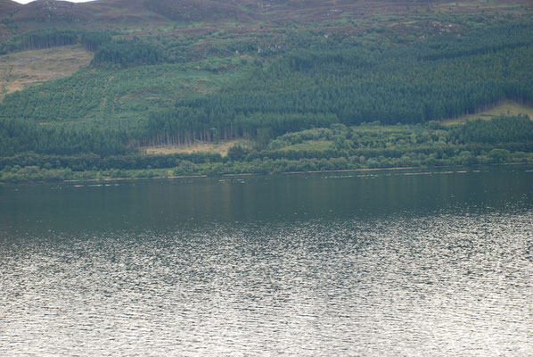 Schottland, Loch Ness