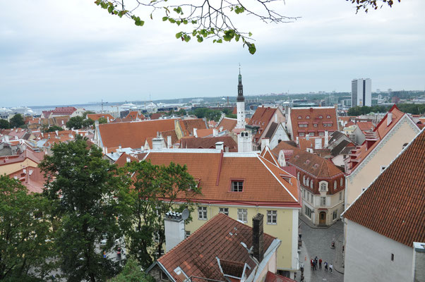 Estland, Tallinn