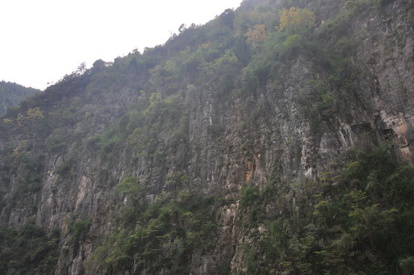 China, Yangtze Kreuzfahrt, Bootsfahrt auf einem Seitenarm des Yangtze