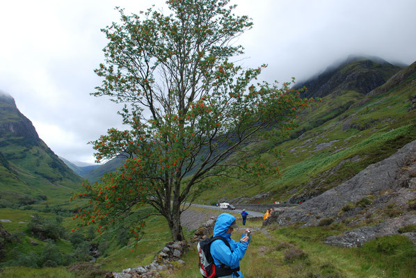 Schottland, Rannoch Moor, größtes Hochmoor Großbritanniens