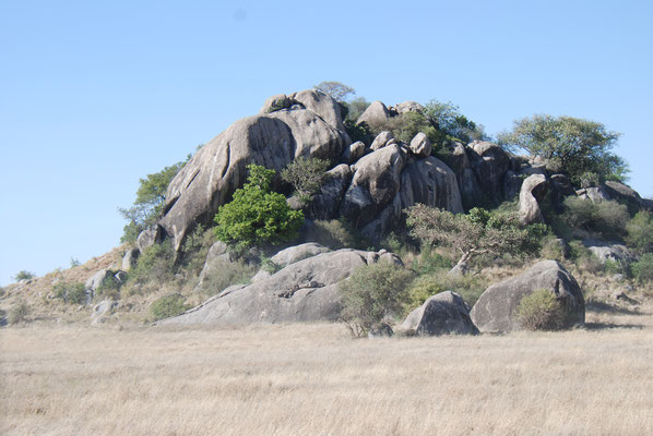 Serengeti Nationalpark, 