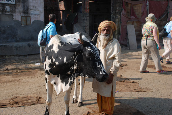 Indien, Jaipur, Galta, heiliger Platz der Hindus