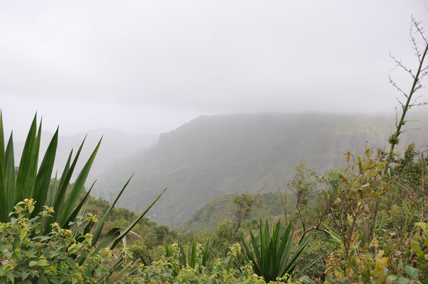 Kap Verden, Insel Santiago, Nationalpark "Serra Malagueta"