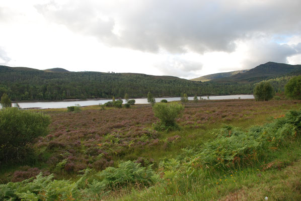 Schottland, Wanderung im Glen Affric, Loch Ness