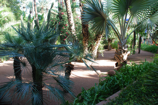 Marokko, Marrakesch, Besuch der Majorelle Gärten