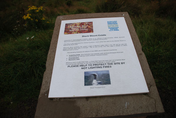 Schottland, Rannoch Moor, größtes Hochmoor Großbritanniens