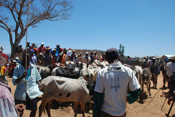 Madagaskar, Zeburindermarkt