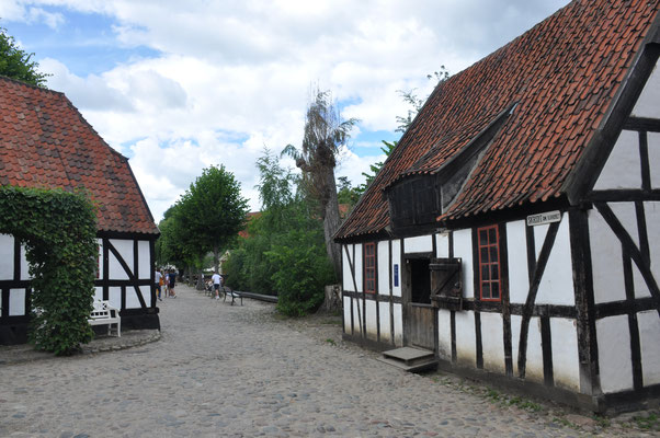 Dänemark, Aarhus mit historischem Viertel DenGambleBy