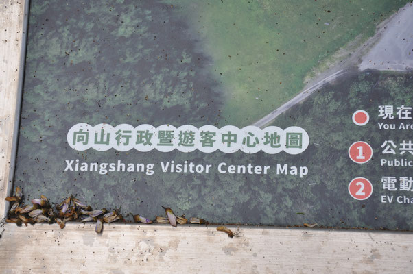 Taiwan, Besucherzentrum Xiangshan