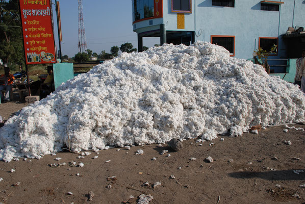 Indien,  Baumwolle