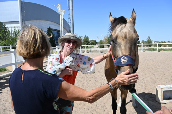 Turkmenistan, Ashgabad, Gestüt der Achal Tekkiner Pferde