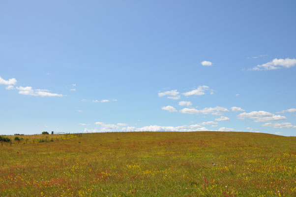 Schweden, Ales Stenar