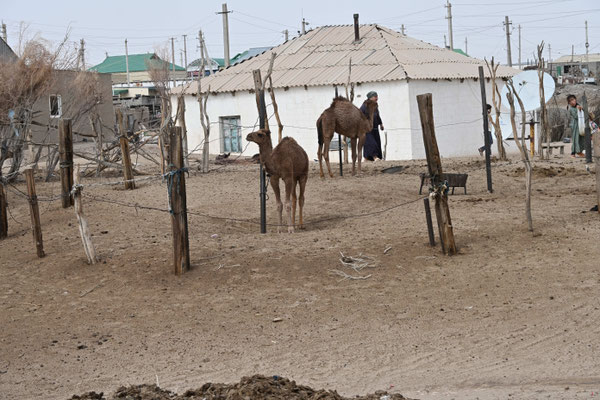 Turkmenistan, Besuch eines Dorfes