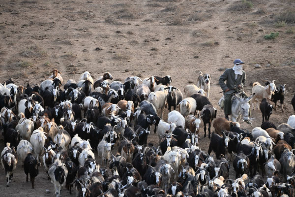 Turkmenistan, Auf dem Karakorum Highway