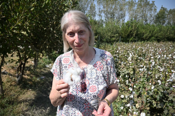 Usbekistan, Besuch eines Baumwollfeldes