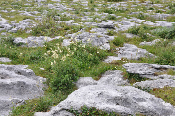 Irland, Portal Tomb, Gräberfeld