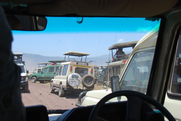 Ngorongoro Krater, Autochaos bei der Löwenbesichtigung