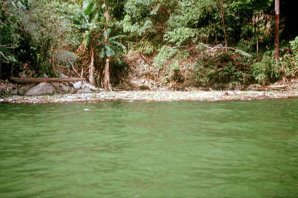 Mexiko, Bootsfahrt auf dem Canon del Sumidero