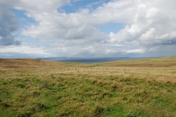 Schottland, John O Groats, Wanderung zum Duncansby Head mit Brutkolonien