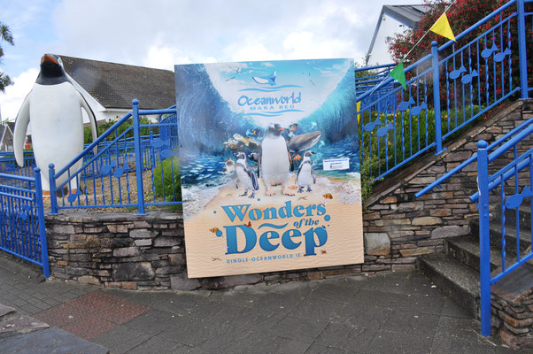 Irland, Halbinsel Dingle, Hauptstadt Dingle mit Aquarium
