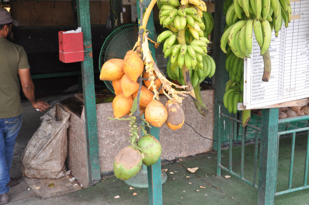 Oman, Salalah, (Al Muntezah Street) Verkauf von Obst aus den umliegenden Plantagen