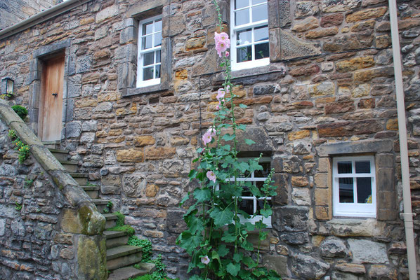 Schottland, St. Andrews 