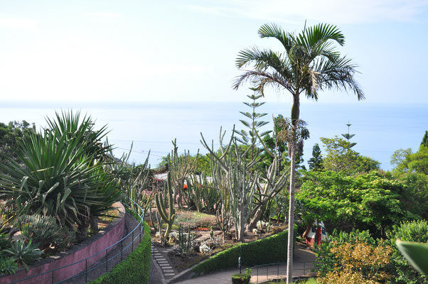 Madeira, Funchal, Botanischer Garten