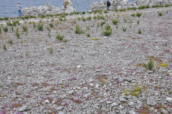 Schweden, Insel Farö, Rauk Gebiete