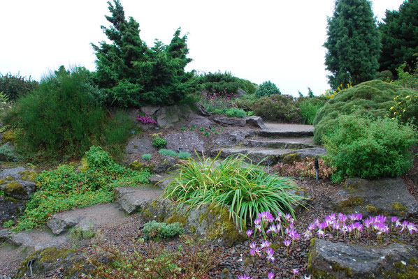 Schottland, Edinburgh, Botanischer Garten