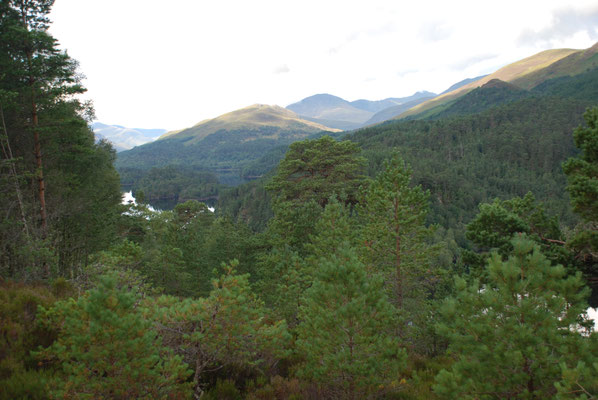 Schottland, Wanderung im Glen Affric, Loch Ness