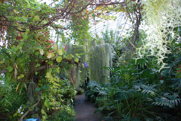 Schottland, Edinburgh, Botanischer Garten