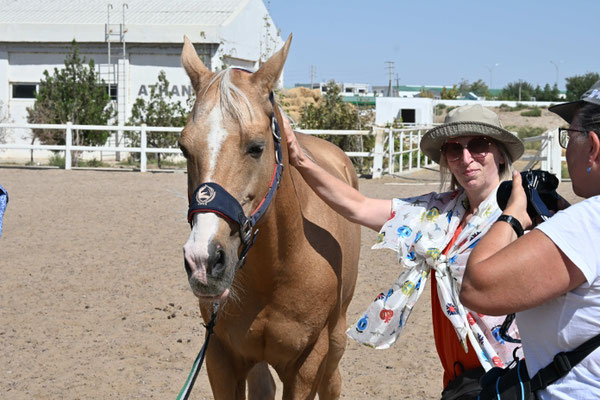 Turkmenistan, Ashgabad, Gestüt der Achal Tekkiner Pferde