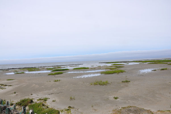 Dänemark, Wattenmeer, Insel Mando