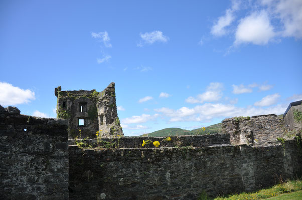 Irland, Carriganase Castle