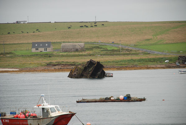 Schottland, Orkney Insel