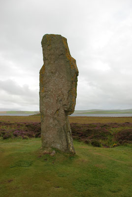 Schottland, Orkney Insel, Ring of Brodgar