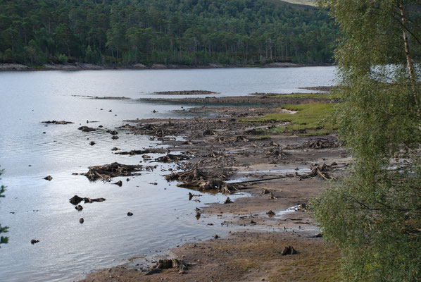 Schottland, Wanderung im Glen Affric, Loch Ness