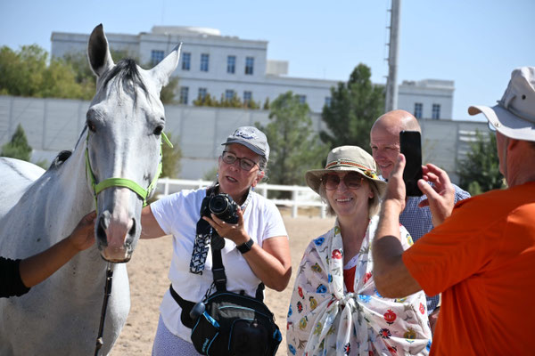 Turkmenistan, Ashgabad, Gestüt der Achal Tekkiner Pferde