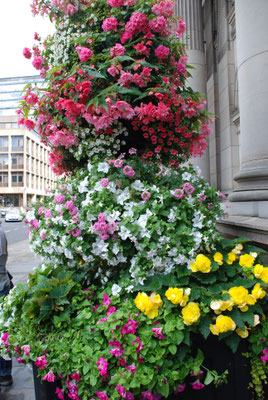 Schottland, Glasgow, Rathaus