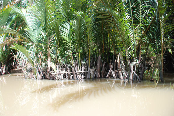 Vietnam, Bootsfahrt im Mekong Delta
