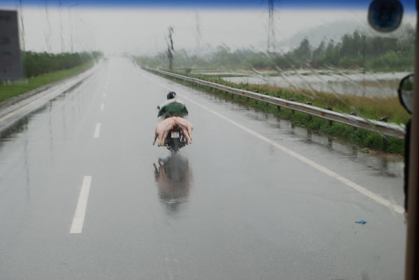Vietnam, Schweinetransport
