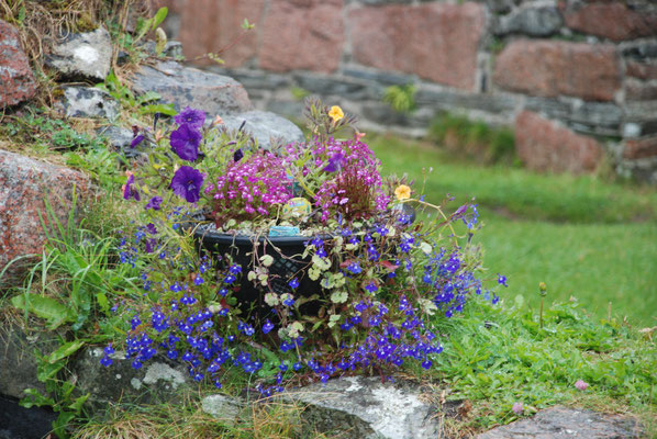 Schottland, Insel Iona, Ruine des Nonnenkloster