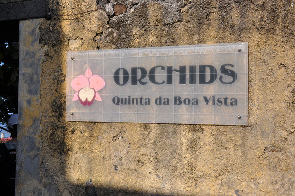 Madeira, Funchal, Orchideengarten, Quinta da Boa Vista