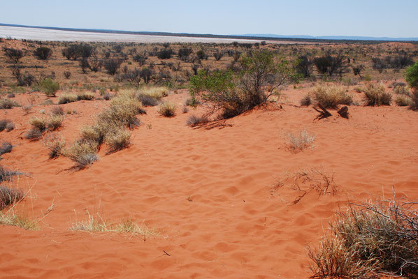 Im australischen Outback, nähe der drei Olgas