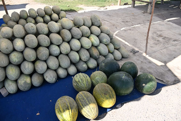Usbekistan:  Auf dem Weg von Taschkent nach Sarmakant, Melonenverkauf am Straßenrand