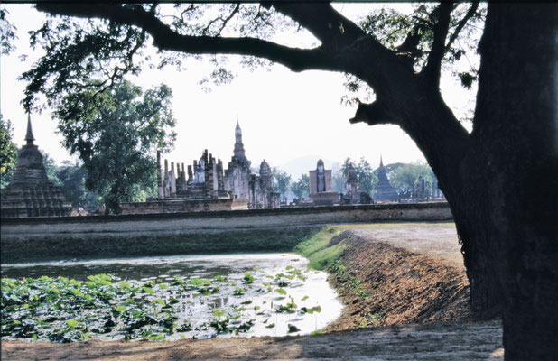 Thailand, Sukuthai, Wat Maha Dat